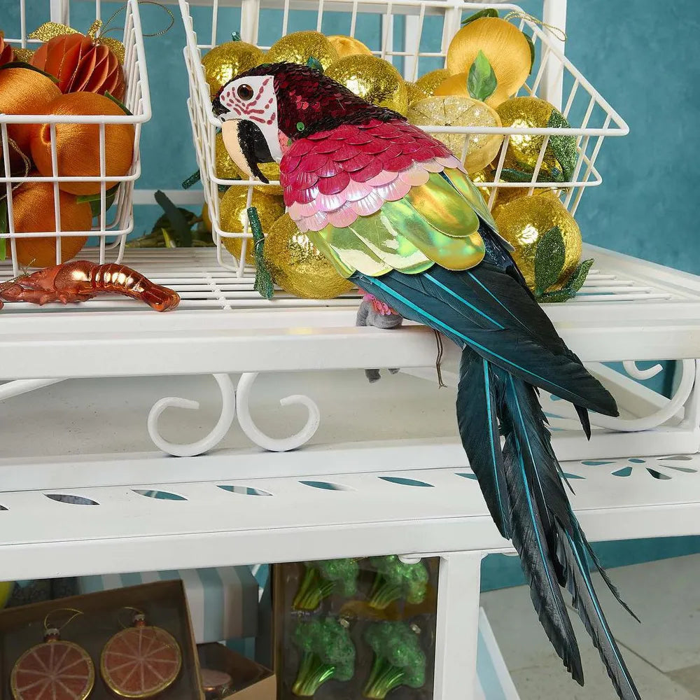 Majestic Stardust Parrot Large