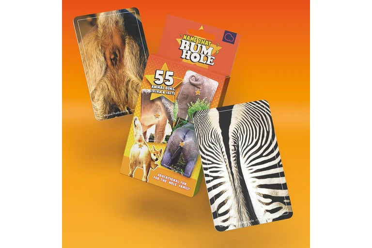 Name That Bumhole Card Game  8+