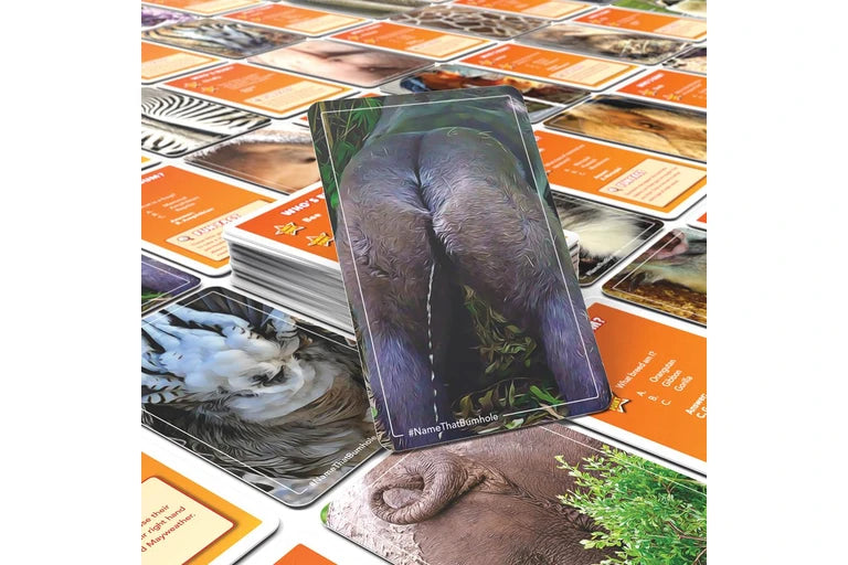 Name That Bumhole Card Game  8+