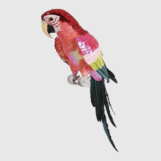 Majestic Stardust Parrot Small